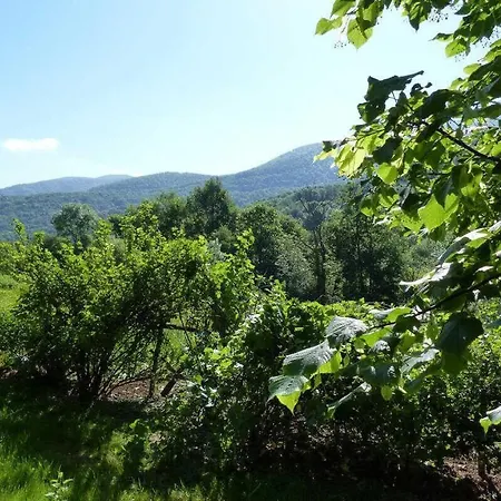 Gite Du Sabotier *